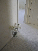 Private Session House Energetic Cleanse