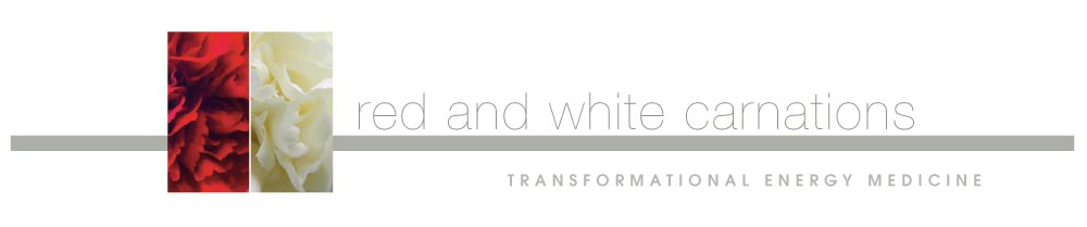 Red and White Carnations Logo